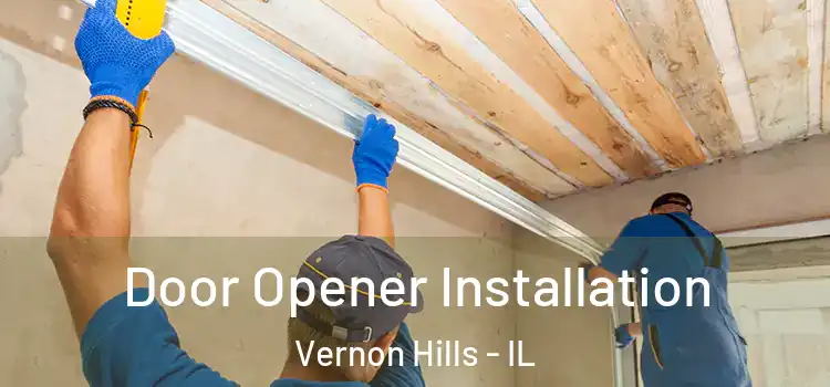 Door Opener Installation Vernon Hills - IL