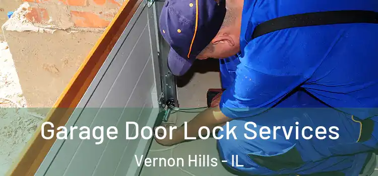 Garage Door Lock Services Vernon Hills - IL
