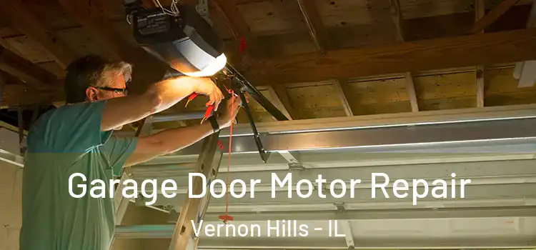  Garage Door Motor Repair Vernon Hills - IL