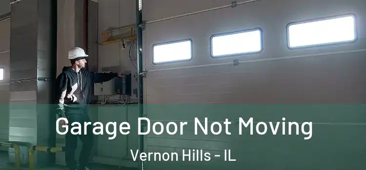  Garage Door Not Moving Vernon Hills - IL