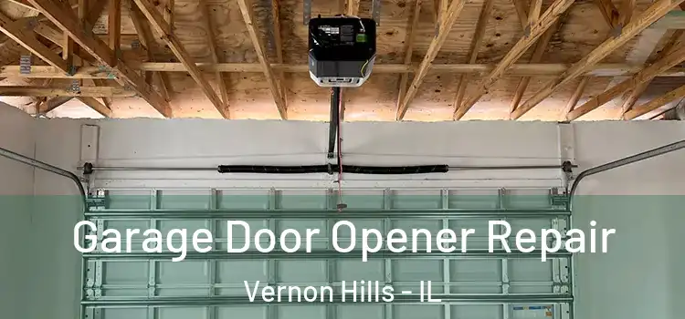  Garage Door Opener Repair Vernon Hills - IL