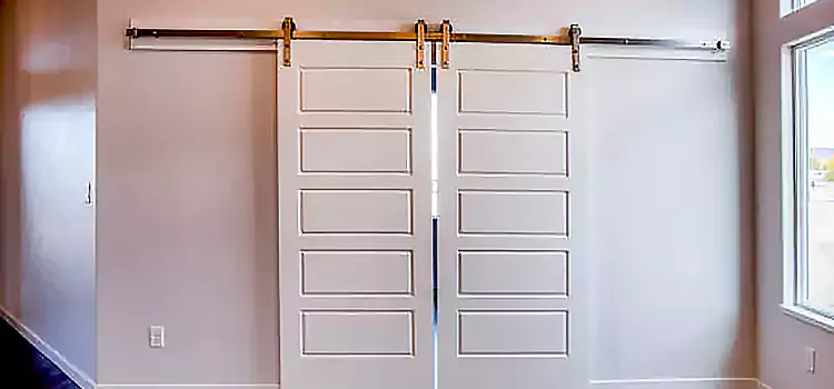 Glass Barn Door with Installation Hardware Kit Vernon Hills