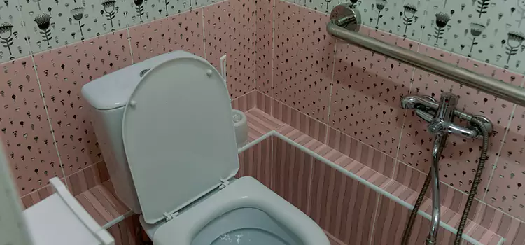 Meeting Diverse Needs With Accessible Restroom Solutions in Vernon Hills, IL
