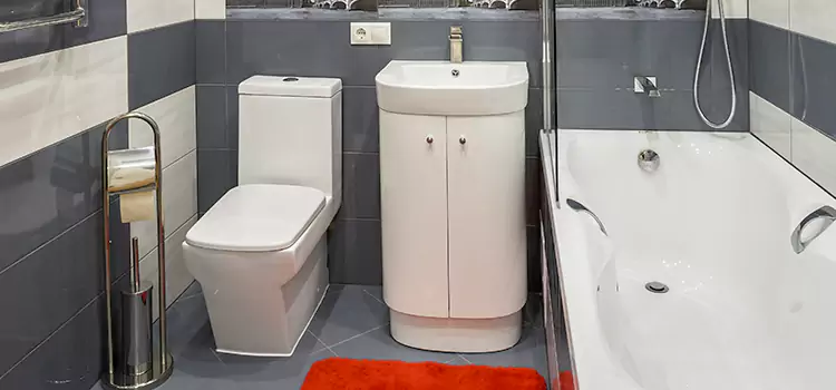 Hansgrohe Shaving Mirror Vernon Hills