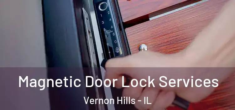 Magnetic Door Lock Services Vernon Hills - IL